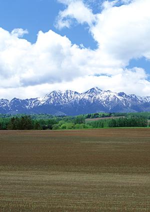 静岡県藤枝市に新規オープンの家族葬専門斎場|家族葬のタクセル高柳の特徴とサービス概要