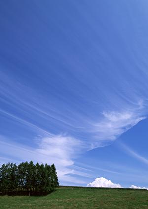 藤枝市で信頼と安心を提供する家族葬専門の【富士葬祭 藤枝城南】の特徴とサービス概要