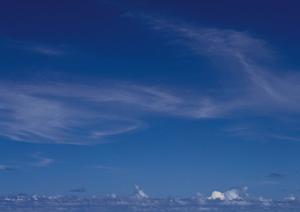 静岡市葵区の家族葬に最適!【公式】家族葬のタクセル新伝馬の全情報と特徴