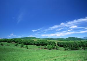 静岡県富士市に新たにオープン!家族葬専門の「家族葬のタクセル国久保」の魅力と特徴