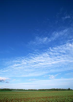 富士葬祭 聖一色：静岡市を中心に地域に根ざした安心の葬儀サービスとモダンな斎場施設