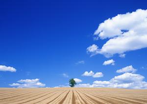 浜松市中央区における信頼の葬儀サービス：富士葬祭 森田町の特徴と詳細情報