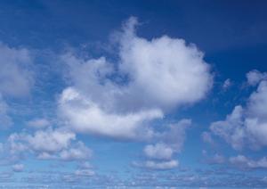 さいたまの家族葬ガイド2025：安心と信頼の葬儀プランを徹底解説