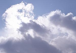 静岡県における低価格の家族葬・火葬サービス｜【家族葬のタクセル】の詳細情報と特色