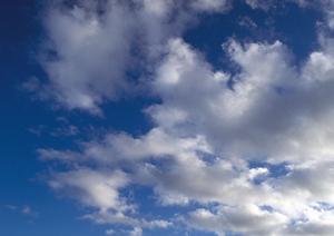 永代供養を新宿区で実現する方法