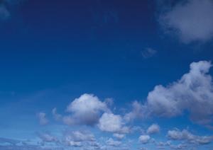 静岡焼津市で安心の家族葬を実現する富士葬祭焼津中央の特徴とサービス内容